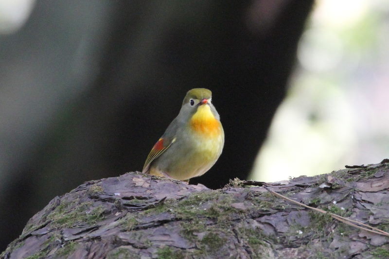 \EV`E iV-4j@@s䉑@ss@2016/03/02@ Photo by Manda