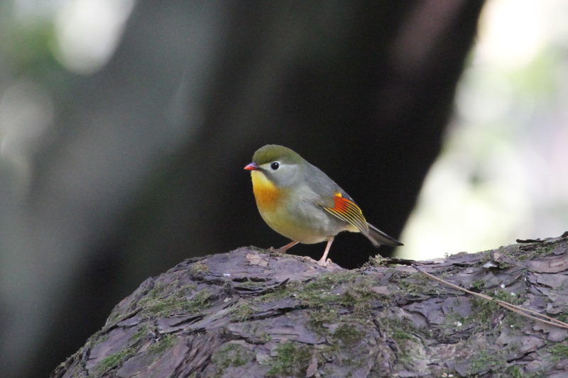 \EV`E iV-5j@@s䉑@ss@2016/03/02@ Photo by Manda