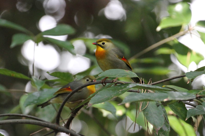 \EV`E iV-7j@@s䉑@ss@2016/03/02@ Photo by Manda