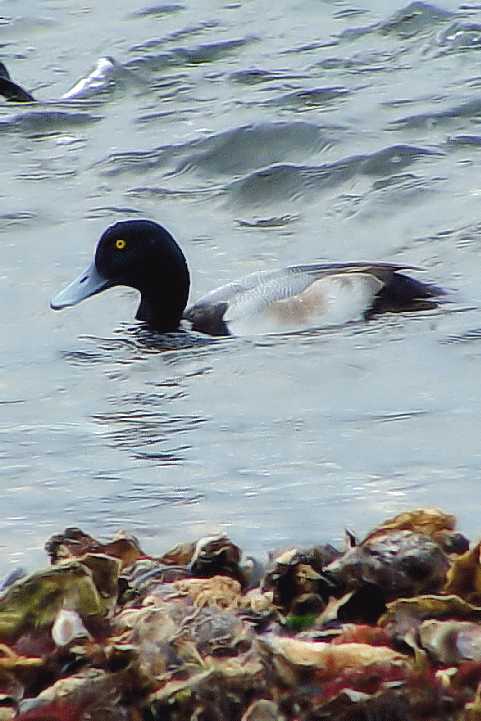 @ XYK@@s{@{Îs@V@hC@2004/02/14@Photo by Kohyuh