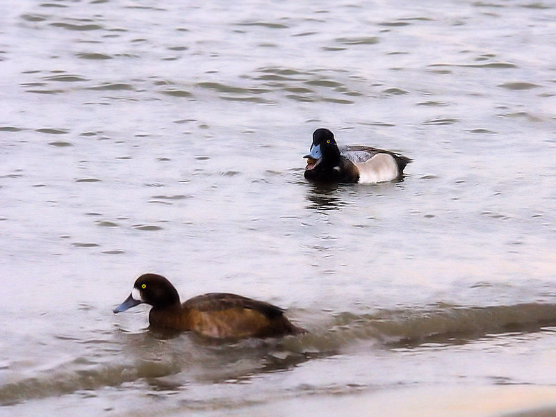 XYKiT-2j@ՊC@s]ː@2017/11/27@Photo by Kohyuh