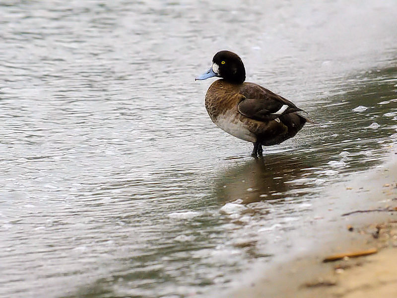 XYKiT-3j@ՊC@s]ː@2017/11/27@Photo by Kohyuh