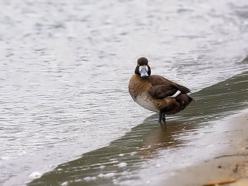 XYKiT-4j@ՊC@s]ː@2017/11/27@Photo by Kohyuh