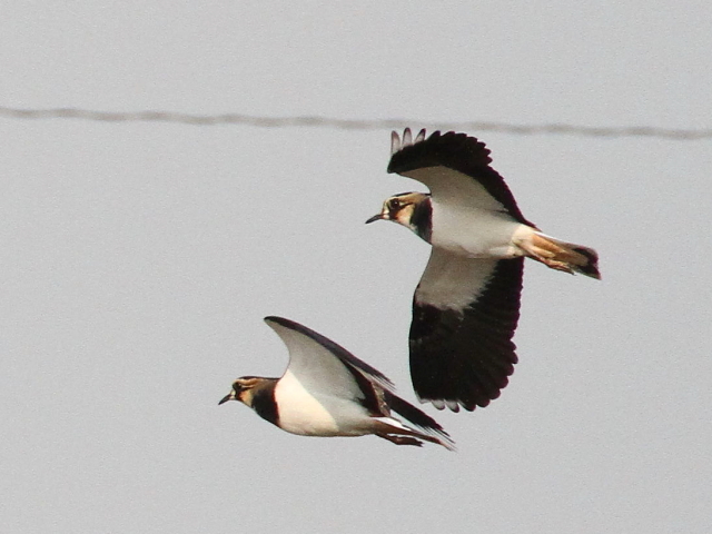 (10) ^Q̔p@s@2013/12/07@Photo by Manda