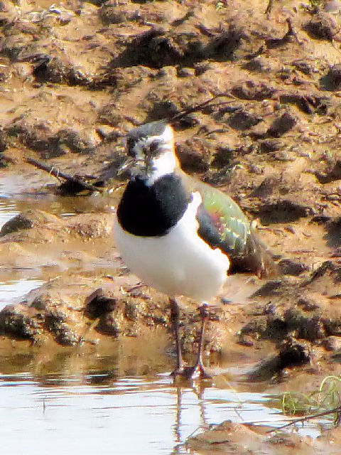 D ^Q@@s@䌧@2010/02/21@Photo by Kohyuh