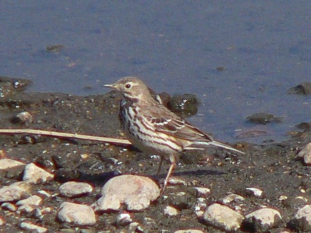 @ ^qo@s@J@2008/02/21@Photo by Takase