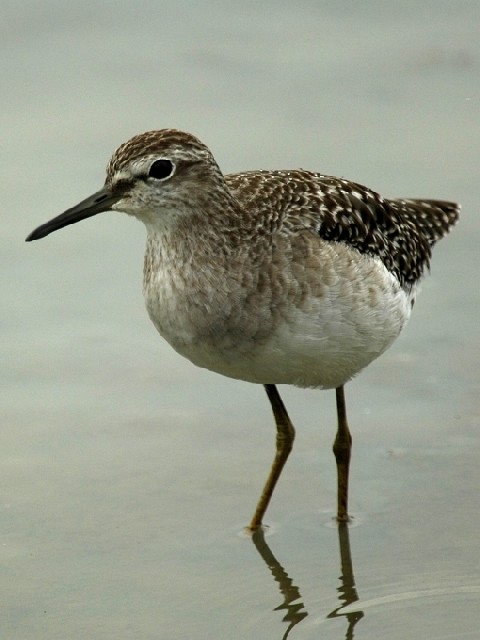 @ ^JuVM@@ss암@2006/10/01@Photo by Mitchao