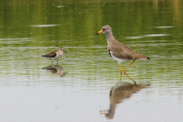 ^JuVM@@iQ-2j@ss@@c@2014/09/06@Photo by Manda