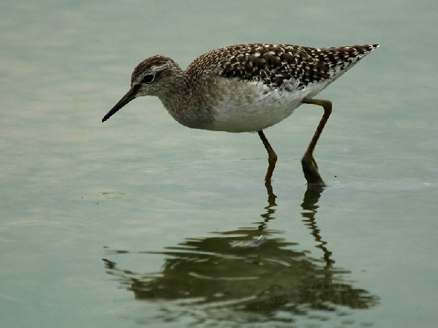 A ^JuVM@@ss암@2006/10/01@Photo by Mitchao