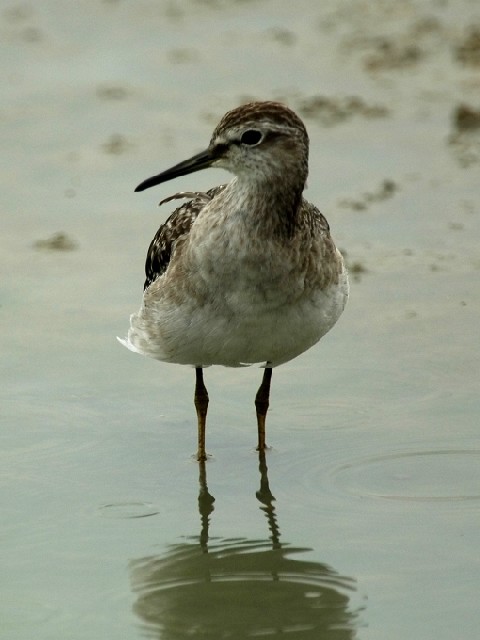 B ^JuVM@@ss암@2006/10/01@Photo by Mitchao