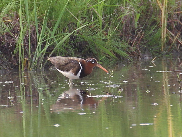 ^}VM @@ss@@c@2014/08/25@Photo by Manda