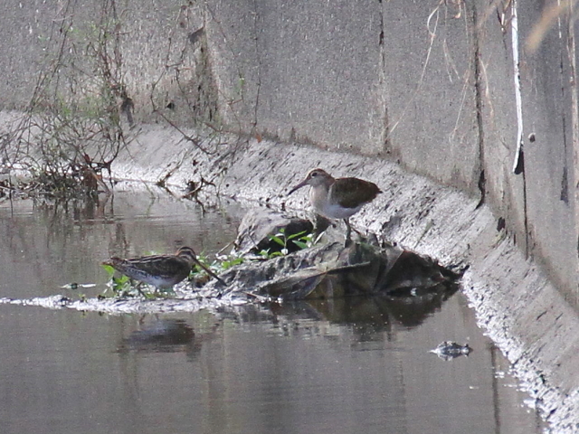 ^VMij  ^}VM  iEj@J@s@2014/10/06@Photo by Manda