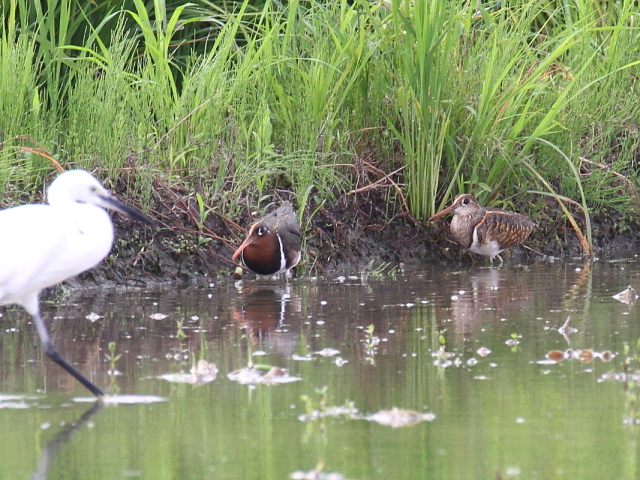 ^}VM @@iR-1j@ss@@c@2014/08/25@Photo by Manda