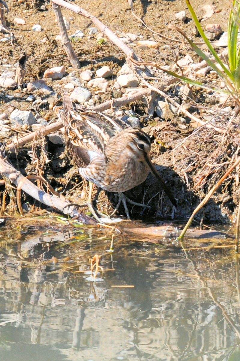 ^VM iWԁj@J@s@2022/02/28@Photo by Kohyuh