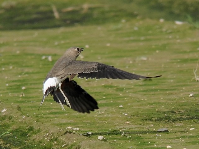 @ co`h@@~H@c@s@2008/08/28 Photo by Mitchao