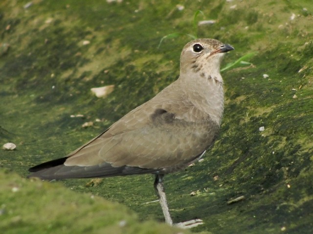 B co`h@@~H@c@s@2008/08/28 Photo by Mitchao