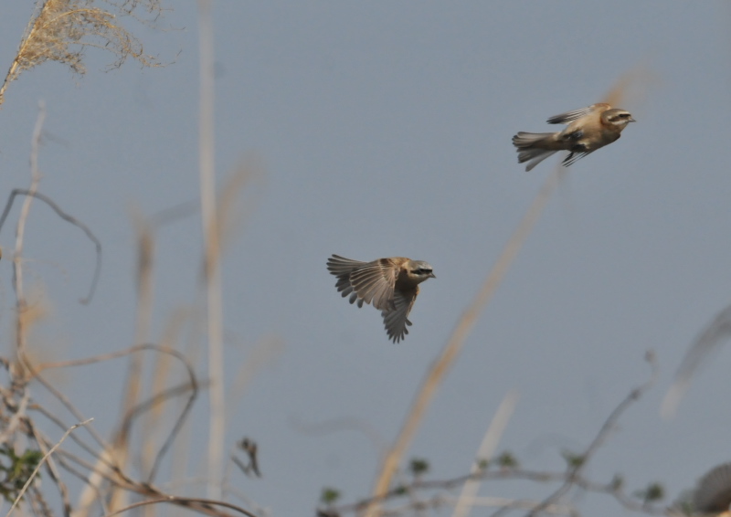 cXK iW-8j@@E݁@s@2016/03/04@Photo by Takase