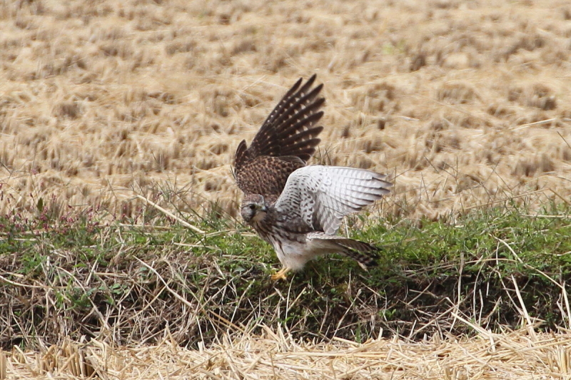 `EQ{E@юp@iU-1j@J@s@2014/10/21@ Photo by Manda