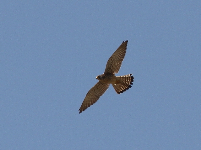 C `EQ{E@@iT-4j@s@J@2014/04/24@Photo by Manda