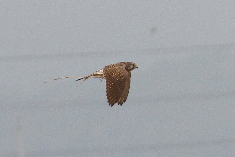 `EQ{E@юp@iU-4j@J@s@2014/10/21@ Photo by Manda