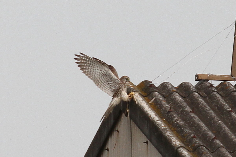 `EQ{E@юp@iU-5j@J@s@2014/10/21@ Photo by Manda