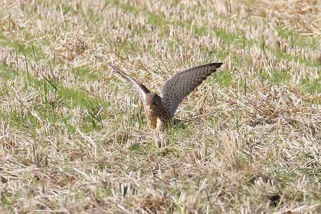 `EQ{E@юp@iU-5j@J@s@2014/10/29@ Photo by Manda