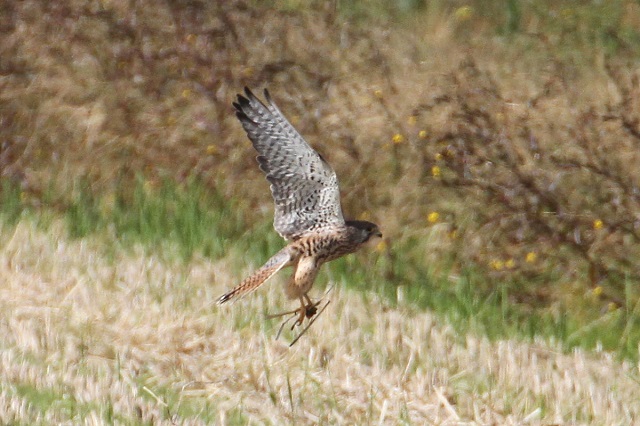 `EQ{E@юp@iU-6j@J@s@2014/10/29@ Photo by Manda