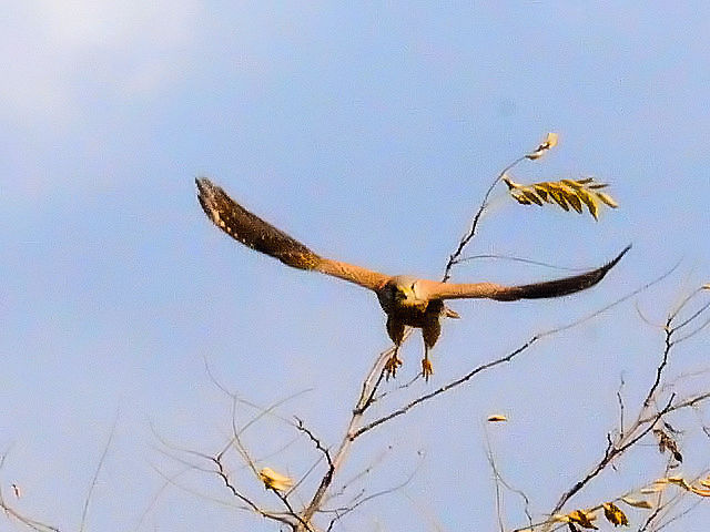 D `EQ{E@@s@@2011/12/20@ Photo by Kohyuh