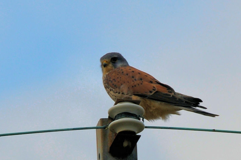 `EQ{E @J@s@2022/12/16@ Photo by Kohyuh