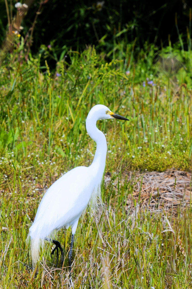 `ETM@@ĉH@J@s@2021/04/15@Photo by Kohyuh