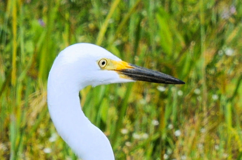 `ETM@@ĉH@J@s@2021/04/15@Photo by Kohyuh