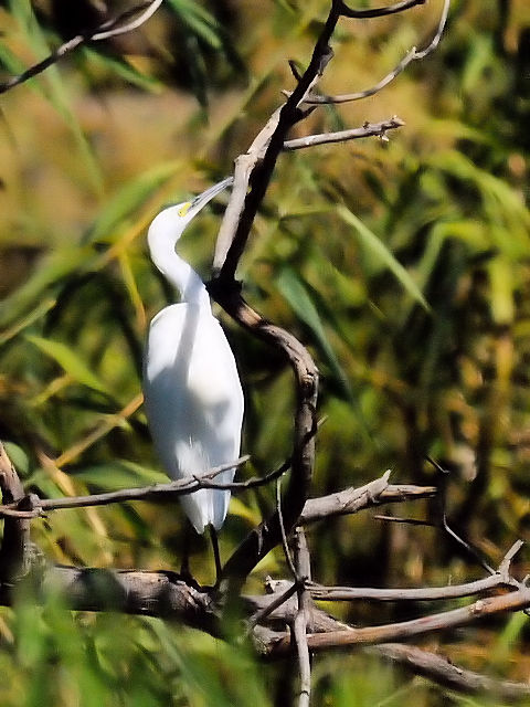 C `ETM@@Rcr@s@2013/09/27@Photo by Kohyuh