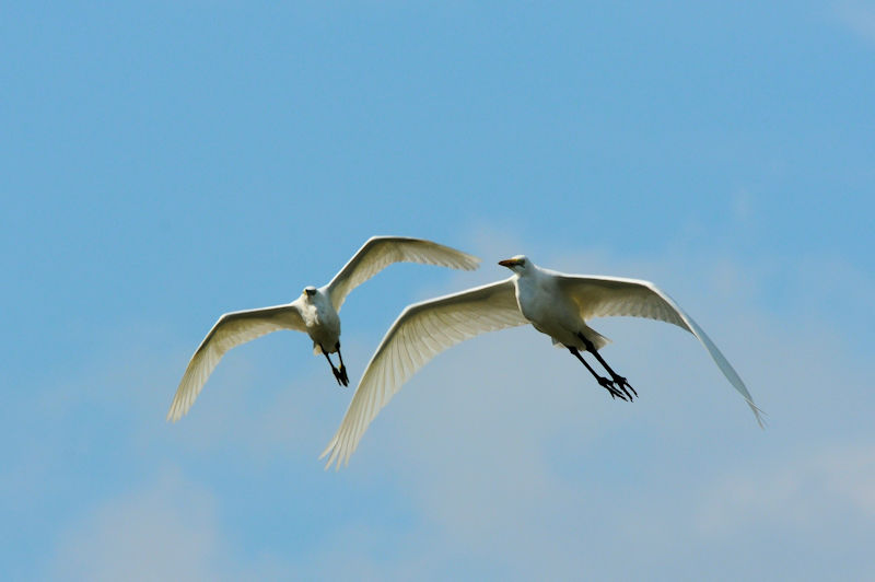 `ETM ᒹ@J@s@2021/08/23@Photo by Kohyuh