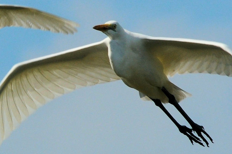 `ETM ᒹ@J@s@2021/08/23@Photo by Kohyuh