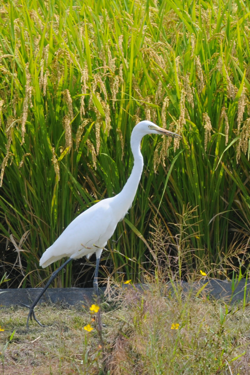 `ETM@ᒹ@J@s@2021/09/30@Photo by Kohyuh