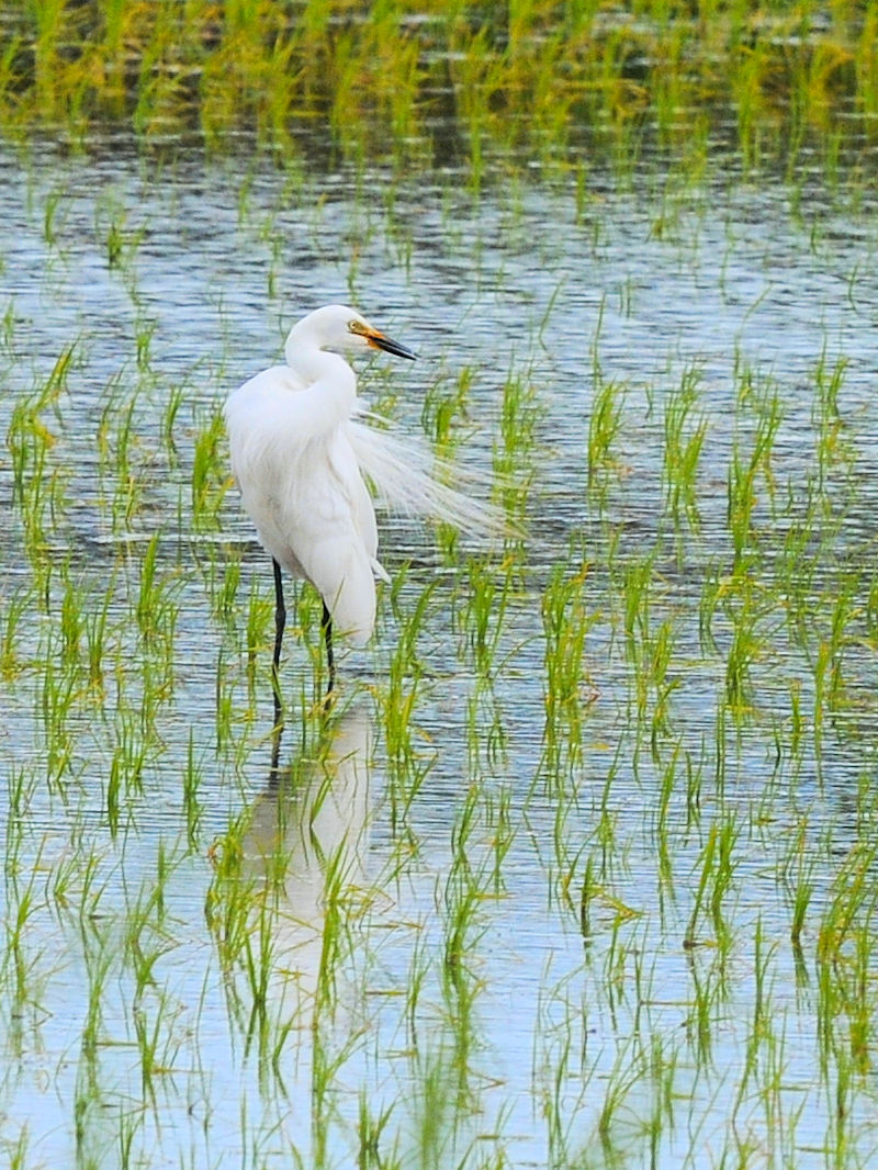 `ETM@J@s@2022/06/15@Photo by Kohyuh