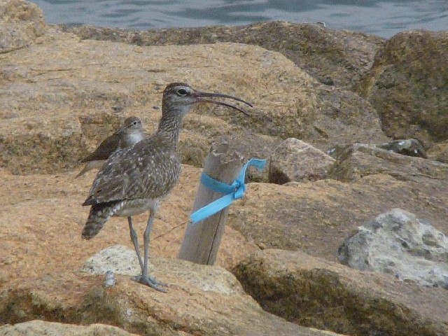 A `EVNVM@@@qC݁@s@2008/09/01@Photo by Takase