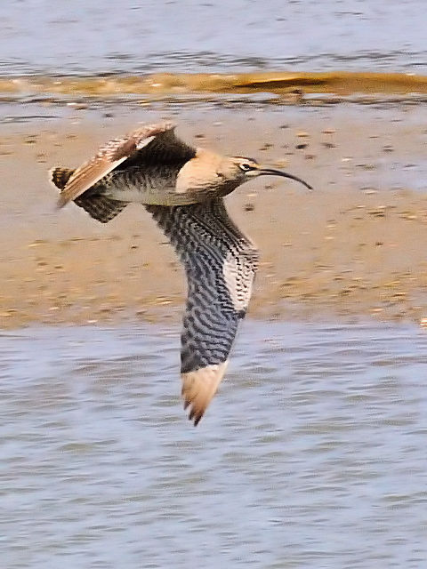 D `EVNVM@@썶݁@s@2010/04/28@Photo by Kohyuh