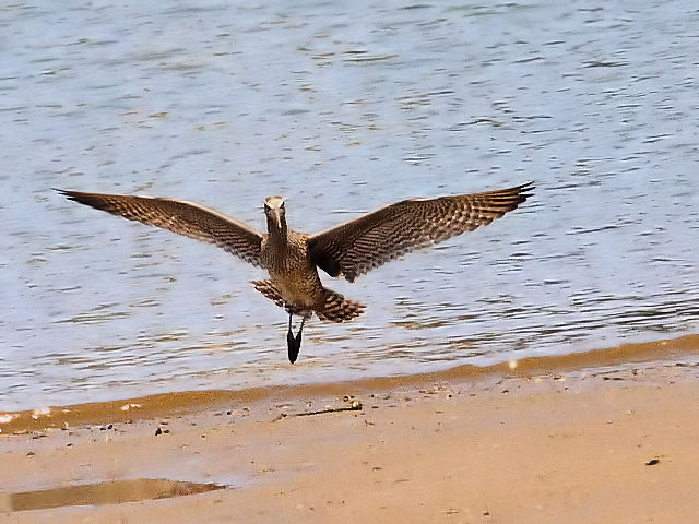 C `EVNVM@@썶݁@s@2010/04/28@Photo by Kohyuh