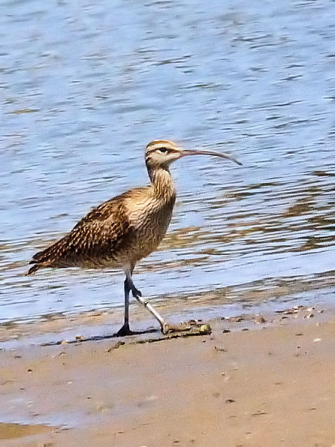 B `EVNVM@@썶݁@s@2010/04/28@Photo by Kohyuh