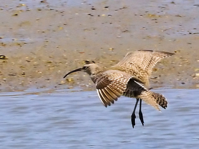 E `EVNVM@@썶݁@s@2010/04/28@Photo by Kohyuh