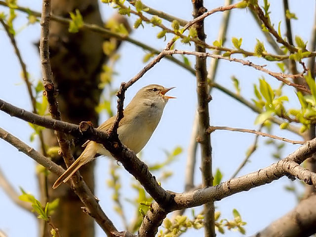 C EOCX@@s@@2010/03/@Photo by Kohyuh