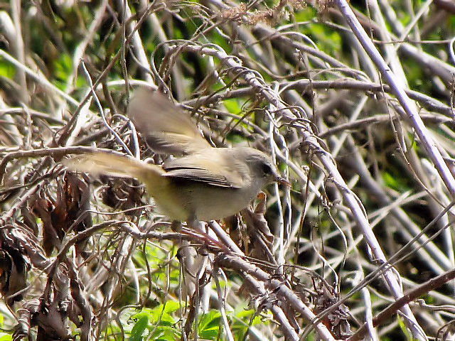 E EOCX@@s@@2010/03/14@Photo by Kohyuh