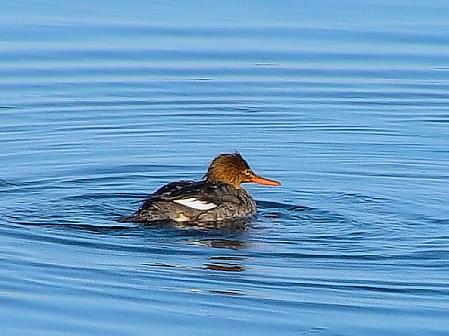 E~E~ACT @ @݌΁@H@kC@2008/02/02@Photo by Kohyuh