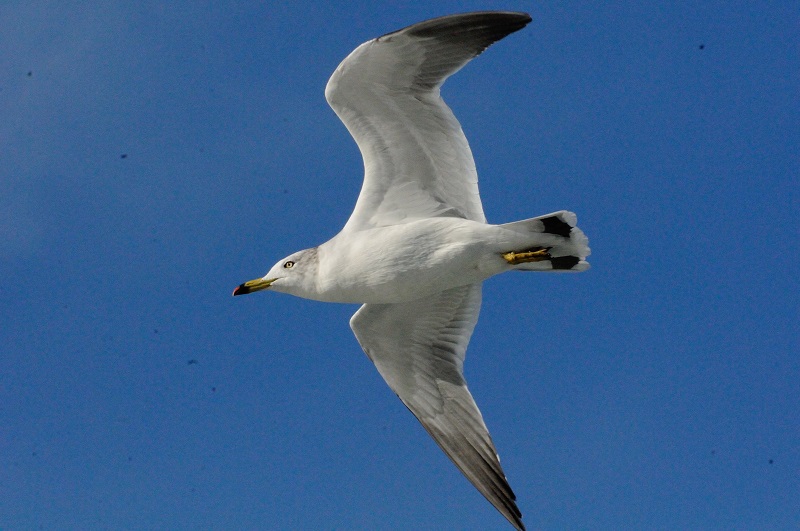 E~lR@@@{錧@2014/11/13@Photo by Kohyuh