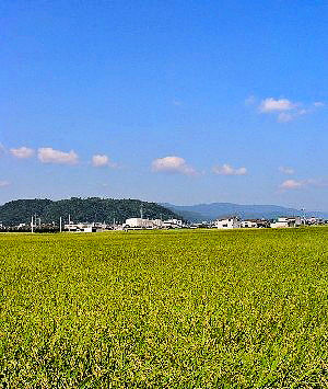 ̍@ijREVR]j@2005/09/29 Photo by Kohyuh