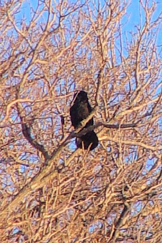 @-2 ^KX@@Egߍx@kC@2008/02/04@Photo by Kohyuh