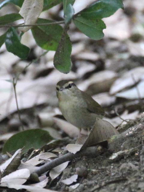 D uT@@s@@2013/09/11@ Photo by Manda