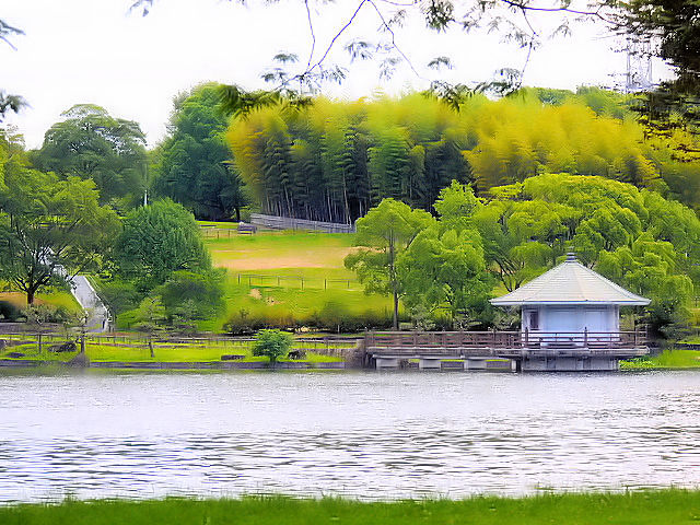 山田池公園　2012/07/02　Photo by Kohyuh