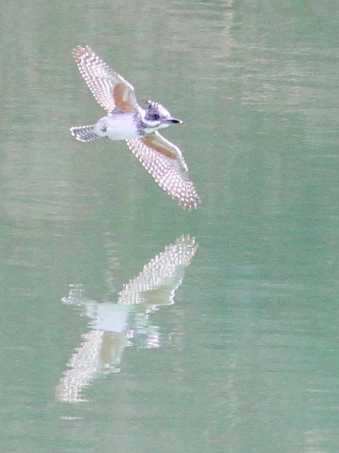 A }Z~@@Fs@V_@2013/03/15@Photo by Manda